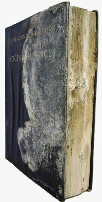 Mold on books