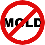 How to get rid of mold growth
