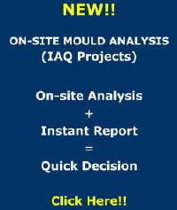 onsite mold analysis