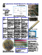 Mold and bacteria laboratory