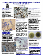 Mold and bacteria laboratory
